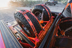 Bravo: Bolt In Tire Cage [Gen 2/3 Ford Raptor]